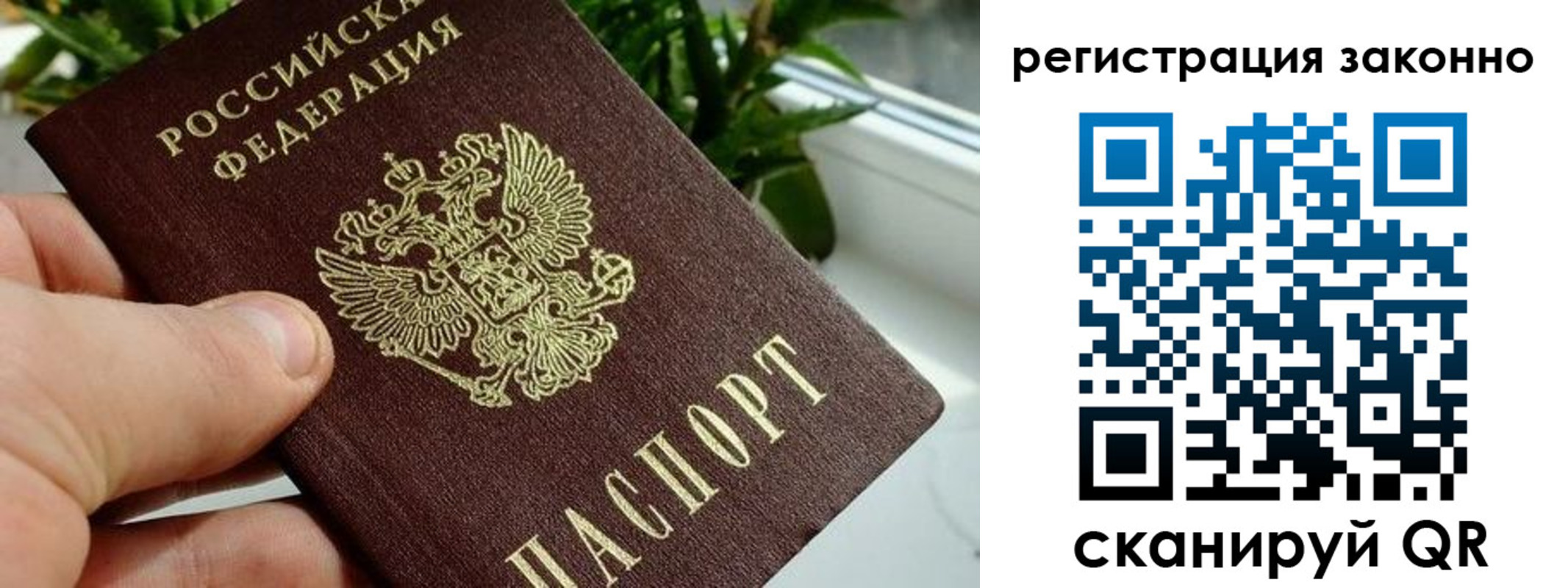 прописка гарантия в Грязовце